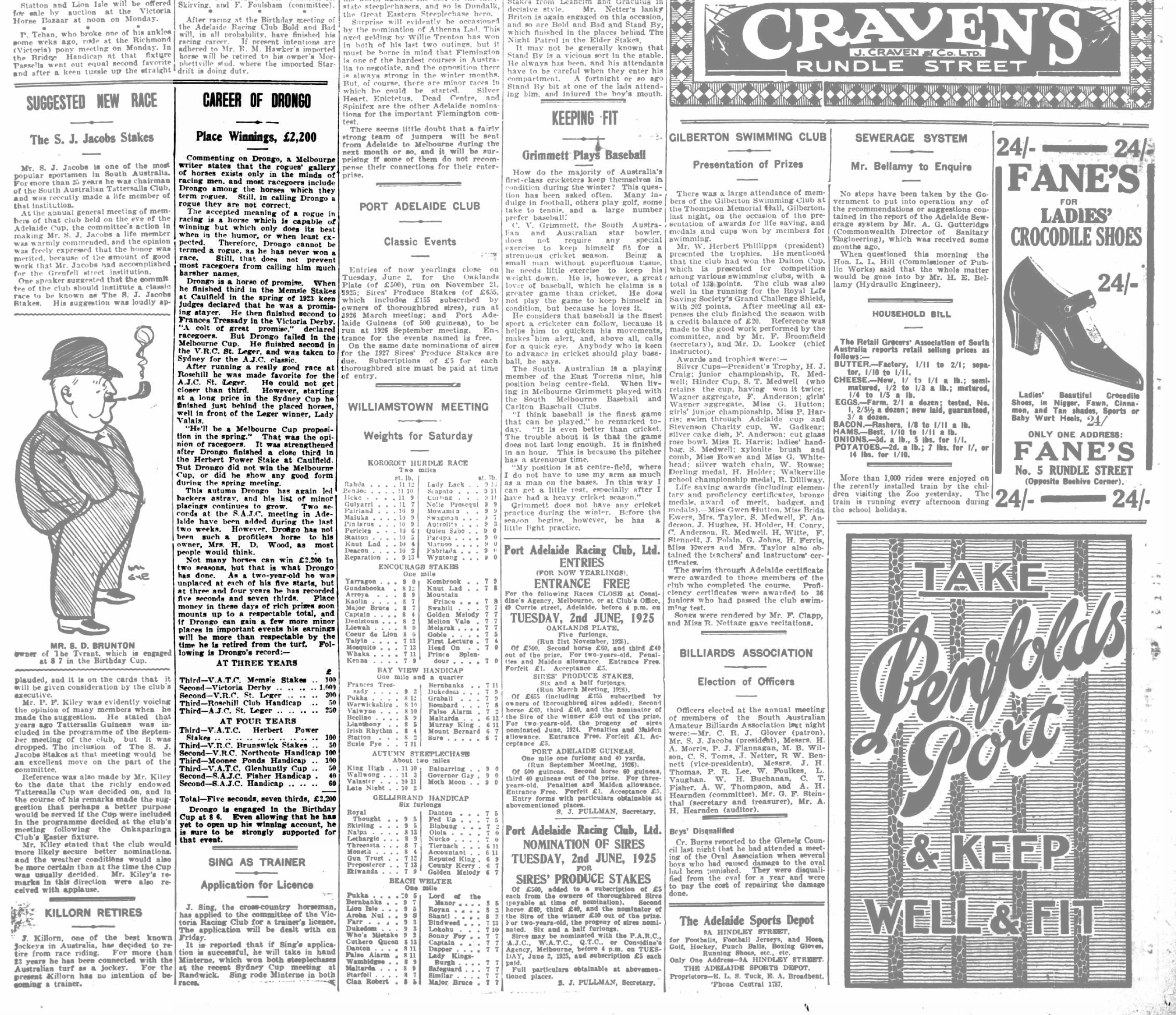 Career of Drongo